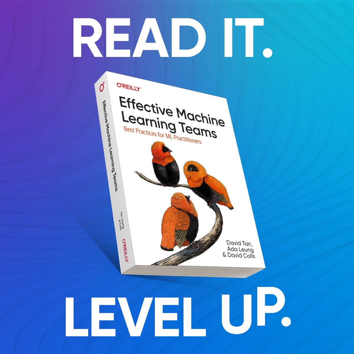 Square social image of an O'Reilly Media book against a gradient background with text