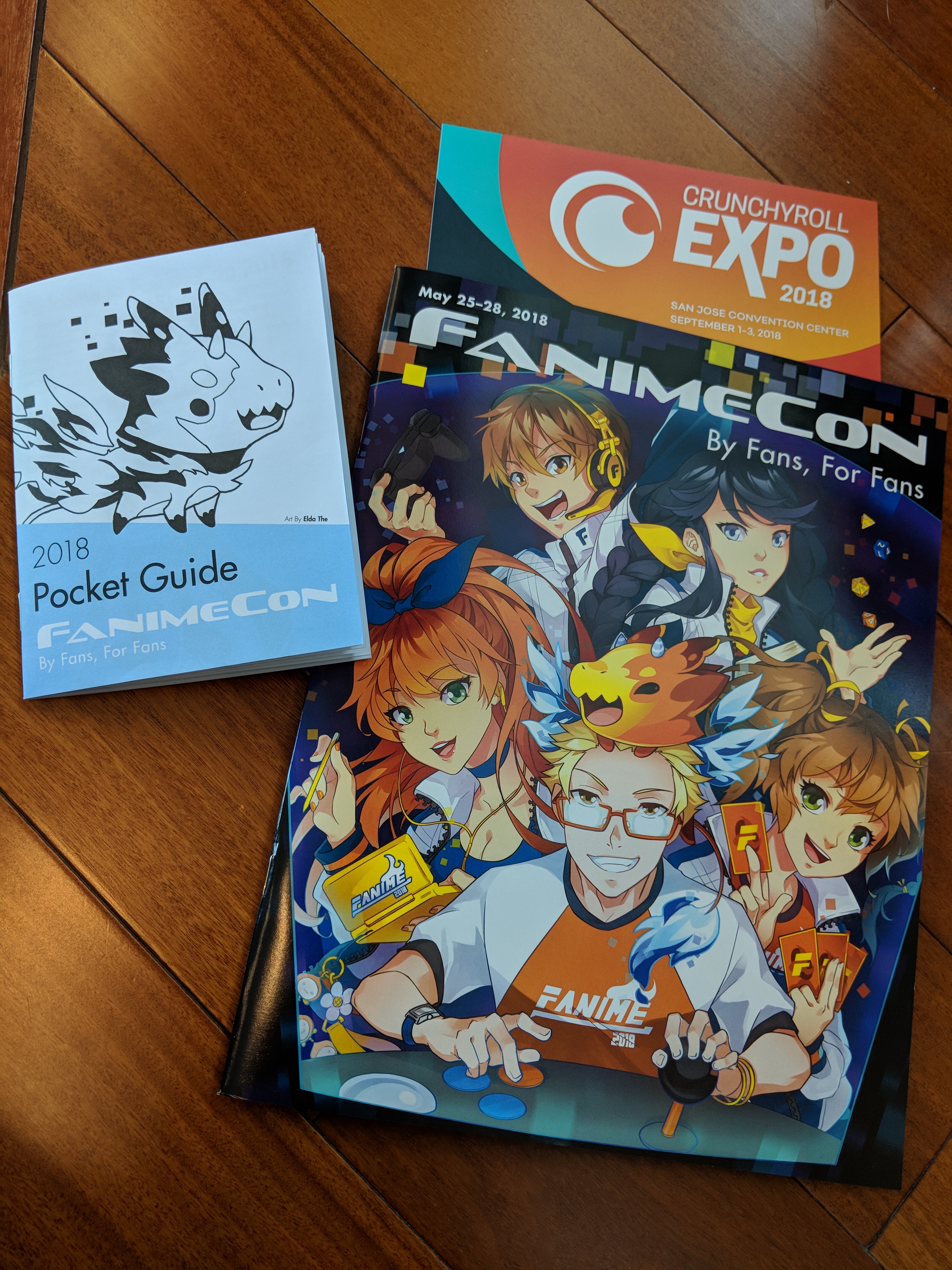 Fanime 2018 picture of printed materials